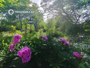 20 м², 2-комнатный дом, 38 соток, 20 м², изображение - 10