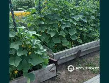 50 м², 2-комнатный дом, 6 соток, 50 м², изображение - 11