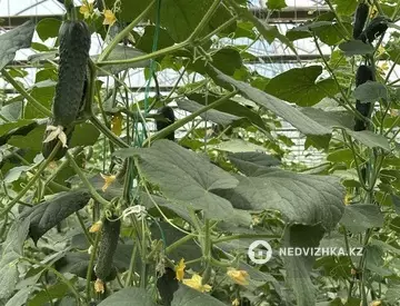 20000 м², Готовый бизнес, отдельно стоящее здание, этаж 1 из 1, 20 000 м², изображение - 12