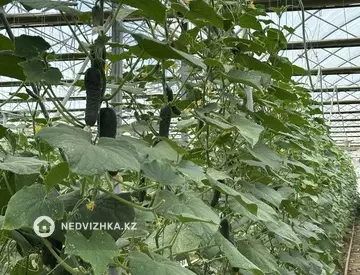 20000 м², Готовый бизнес, отдельно стоящее здание, этаж 1 из 1, 20 000 м², изображение - 13