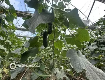 20000 м², Готовый бизнес, отдельно стоящее здание, этаж 1 из 1, 20 000 м², изображение - 9