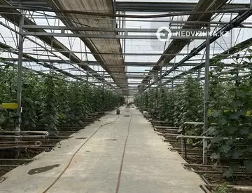 20000 м², Готовый бизнес, отдельно стоящее здание, этаж 1 из 1, 20 000 м², изображение - 11