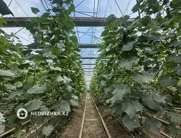20000 м², Готовый бизнес, отдельно стоящее здание, этаж 1 из 1, 20 000 м², изображение - 10