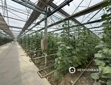 20000 м², Готовый бизнес, отдельно стоящее здание, этаж 1 из 1, 20 000 м², изображение - 15