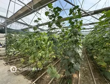 20000 м², Готовый бизнес, отдельно стоящее здание, этаж 1 из 1, 20 000 м², изображение - 16