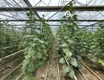 20000 м², Готовый бизнес, отдельно стоящее здание, этаж 1 из 1, 20 000 м², изображение - 14