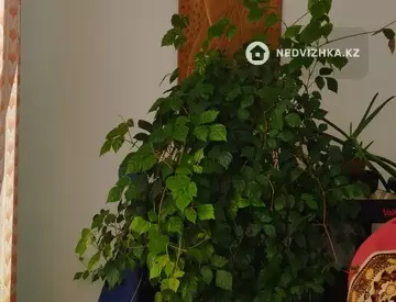 56.6 м², 2-комнатная квартира, этаж 6 из 9, 57 м², изображение - 13