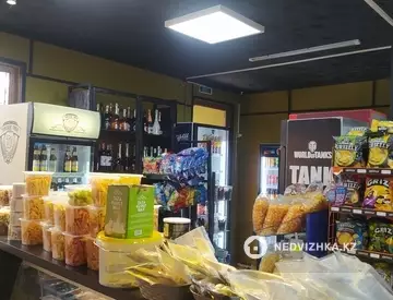 170 м², 4-комнатный дом, 8.5 соток, 170 м², изображение - 19