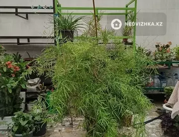 10 м², Помещение, этаж 1 из 1, 10 м², изображение - 8