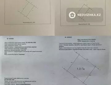 Участок 1.0 га