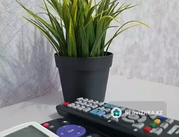 31 м², 1-комнатная квартира, этаж 1 из 5, 31 м², посуточно, изображение - 6