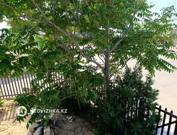 250 м², 4-комнатный дом, 5 соток, 250 м², посуточно, изображение - 13