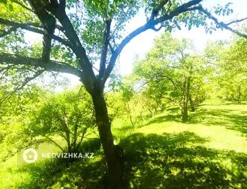 Участок 150.0 соток
