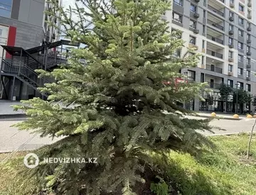 104 м², 3-комнатная квартира, этаж 10 из 12, 104 м², изображение - 13