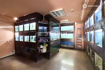 79.1 м², Торговое помещение, этаж 1 из 5, 79 м², изображение - 5