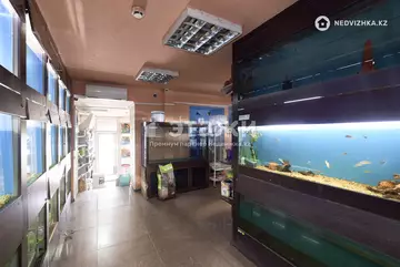 79.1 м², Торговое помещение, этаж 1 из 5, 79 м², изображение - 6