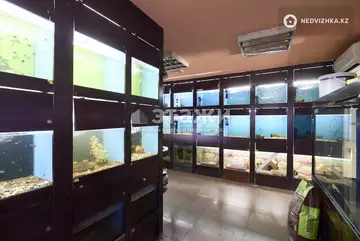 79.1 м², Торговое помещение, этаж 1 из 5, 79 м², изображение - 7