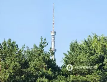 196 м², 4-комнатная квартира, этаж 2 из 3, 196 м², изображение - 45