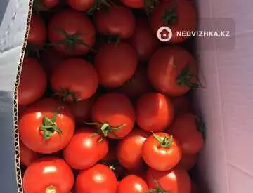 50000 м², Готовый бизнес, отдельно стоящее здание, этаж 1 из 1, 50 000 м², изображение - 6