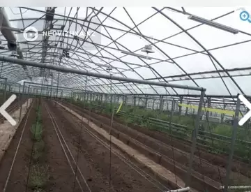 Готовый бизнес, отдельно стоящее здание, этаж 1 из 1, 50 000 м²