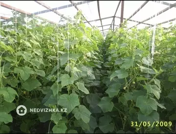 Готовый бизнес, отдельно стоящее здание, этаж 1 из 1, 50 000 м²