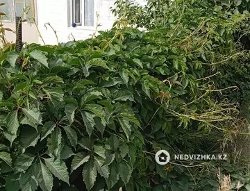 3-комнатный дом, 4.8 соток, 25 м²