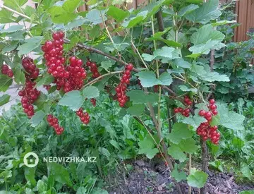 87 м², 4-комнатный дом, 7 соток, 87 м², изображение - 13