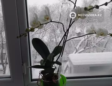 3-комнатная квартира, этаж 4 из 4, 84 м²