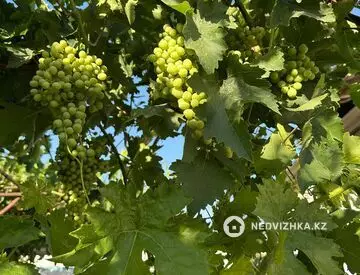 83 м², 4-комнатный дом, 6.3 соток, 83 м², изображение - 9