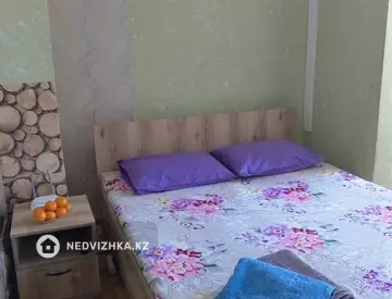 1-комнатная квартира, этаж 9 из 9, 25 м², посуточно