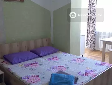 1-комнатная квартира, этаж 9 из 9, 25 м², посуточно