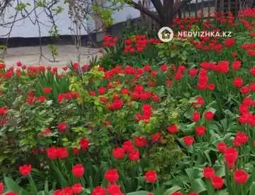 64.5 м², 3-комнатный дом, 8 соток, 64 м², изображение - 7