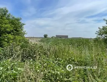 50 м², 2-комнатный дом, 25 соток, 50 м², изображение - 13