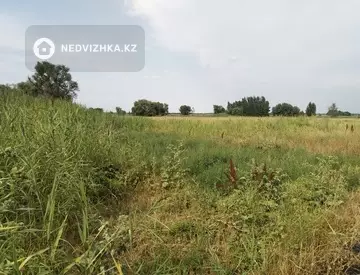 Участок 1200.0 соток