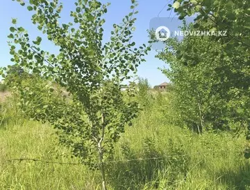 0 м², Участок 1.0 га, изображение - 7