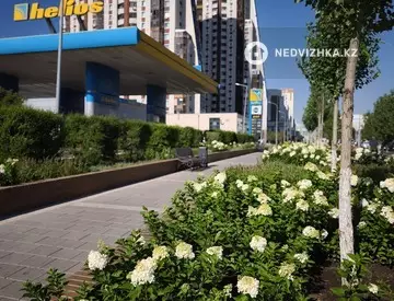 3-комнатная квартира, этаж 1 из 24, 80 м²