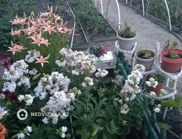 2-комнатный дом, 5 соток, 50 м²