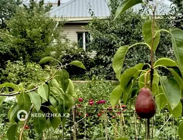 4-комнатный дом, 4 соток, 48 м²