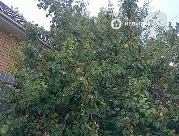 3-комнатный дом, 425 соток, 67 м²