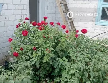3-комнатный дом, 425 соток, 67 м²