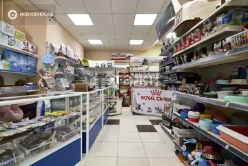 43 м², Торговое помещение, этаж 1 из 9, 43 м², изображение - 5