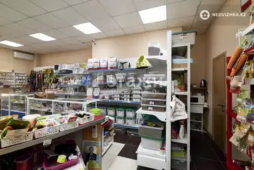 43 м², Торговое помещение, этаж 1 из 9, 43 м², изображение - 8