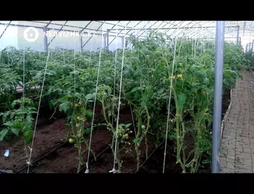 5000 м², Готовый бизнес, отдельно стоящее здание, этаж 1 из 1, 5 000 м², изображение - 11