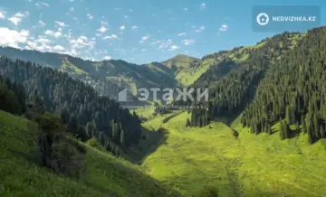 0 м², Участок 20.0 соток, изображение - 6