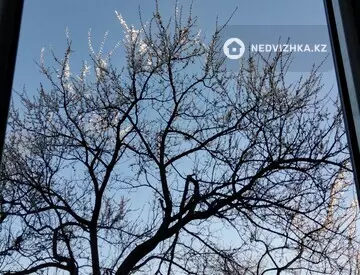 30 м², 1-комнатная квартира, этаж 1 из 3, 30 м², изображение - 10
