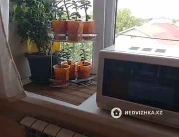 33.6 м², 1-комнатная квартира, этаж 3 из 5, 34 м², изображение - 5