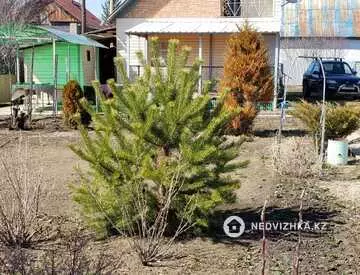 3-комнатный дом, 6 соток, 47 м²
