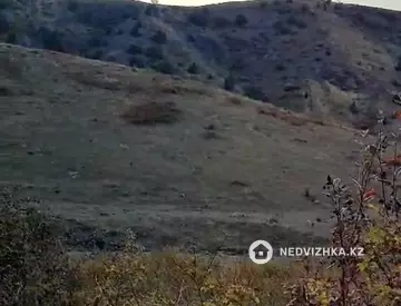 Участок 1000.0 га