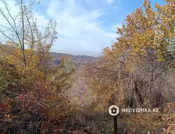 Участок 10.0 соток