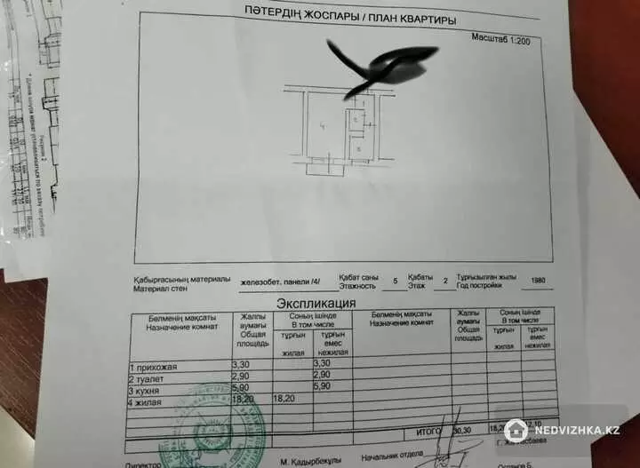30.3 м², 1-комнатная квартира, этаж 2 из 5, 30 м², изображение - 1